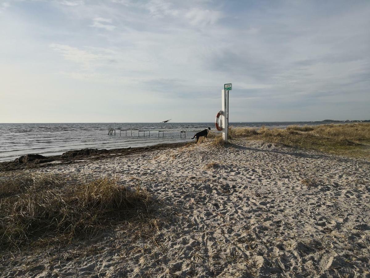 Spurvereden Ved Vandet Greve Exteriör bild