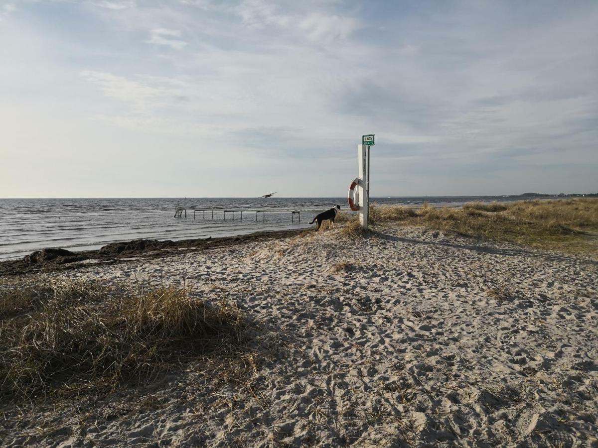 Spurvereden Ved Vandet Hotell Greve Exteriör bild